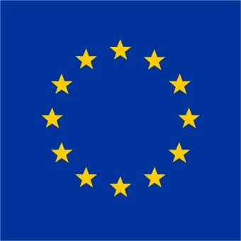 Europese vlag